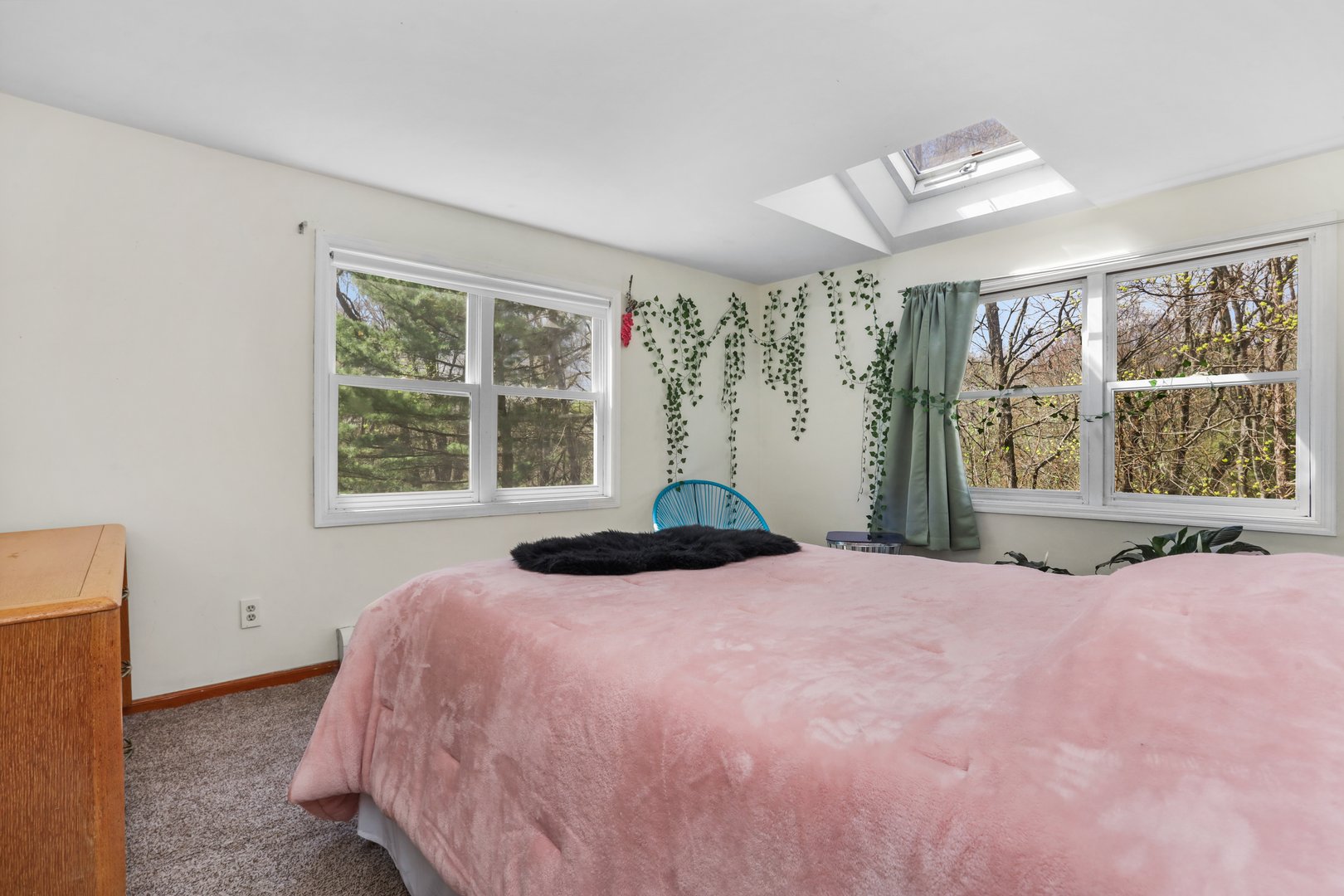 34 Glen Drive Photo 30