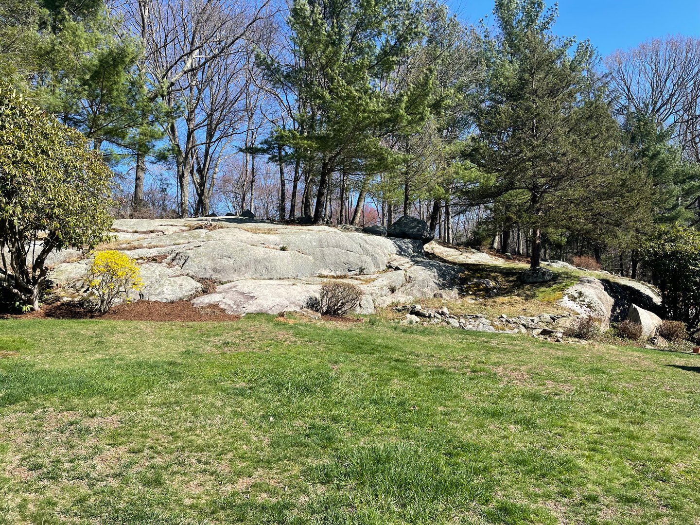 34 Glen Drive Photo 10