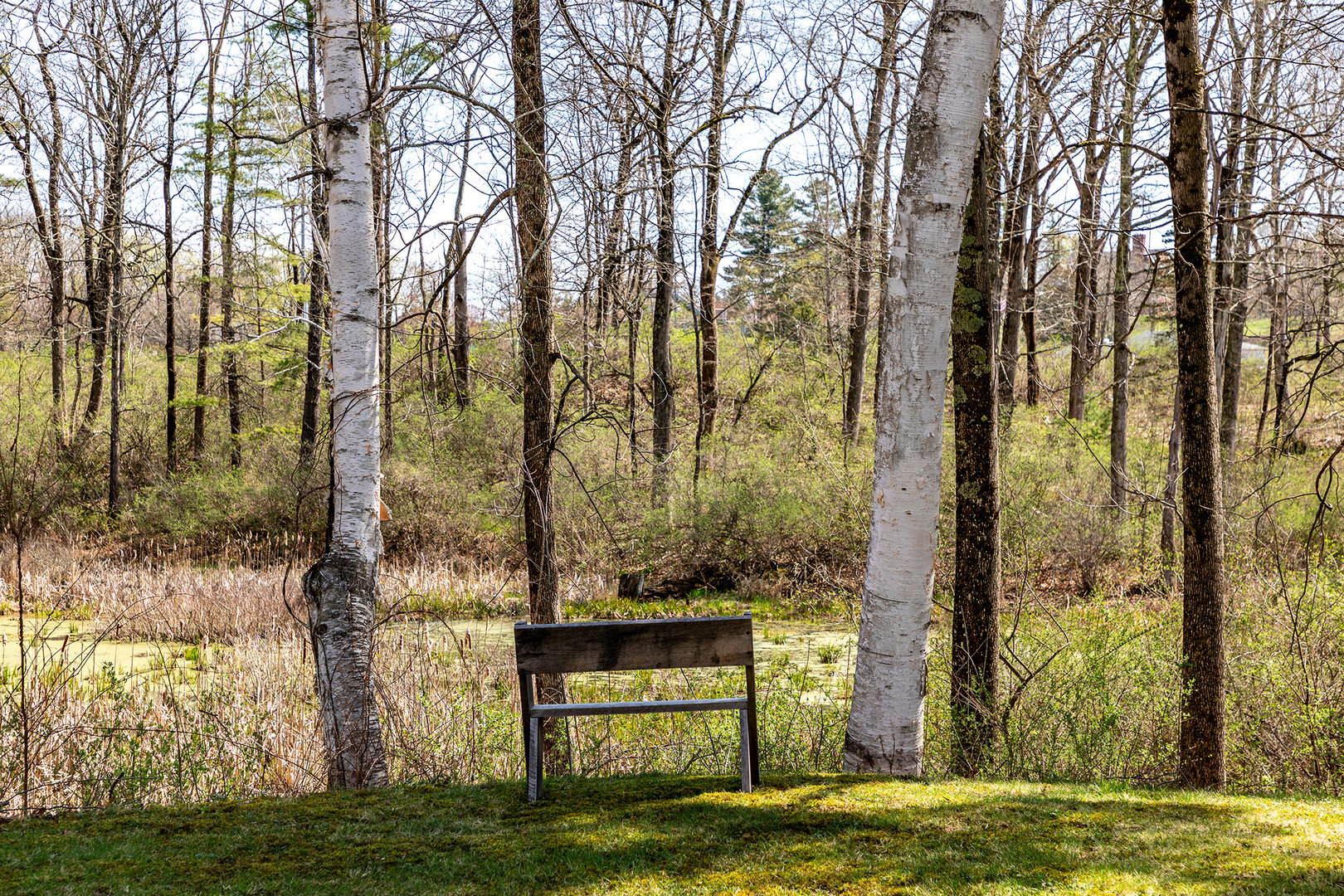 40 Interlaken Estates Photo 34