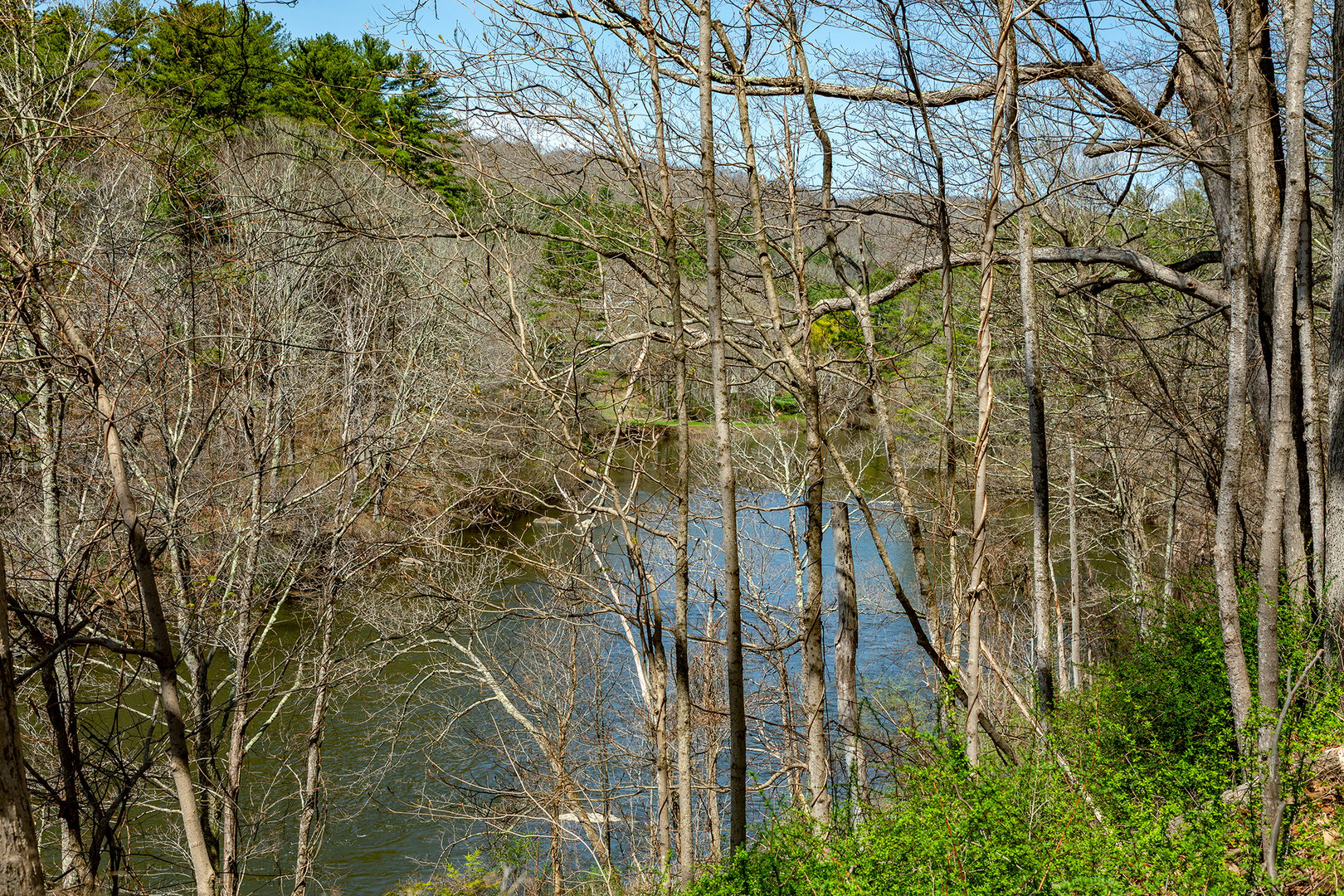 242 River Road Photo 2
