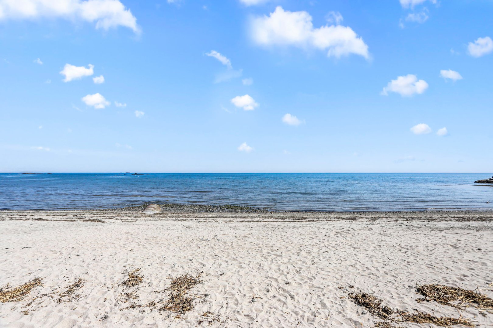 4 Seabreeze Avenue  #B Photo 34