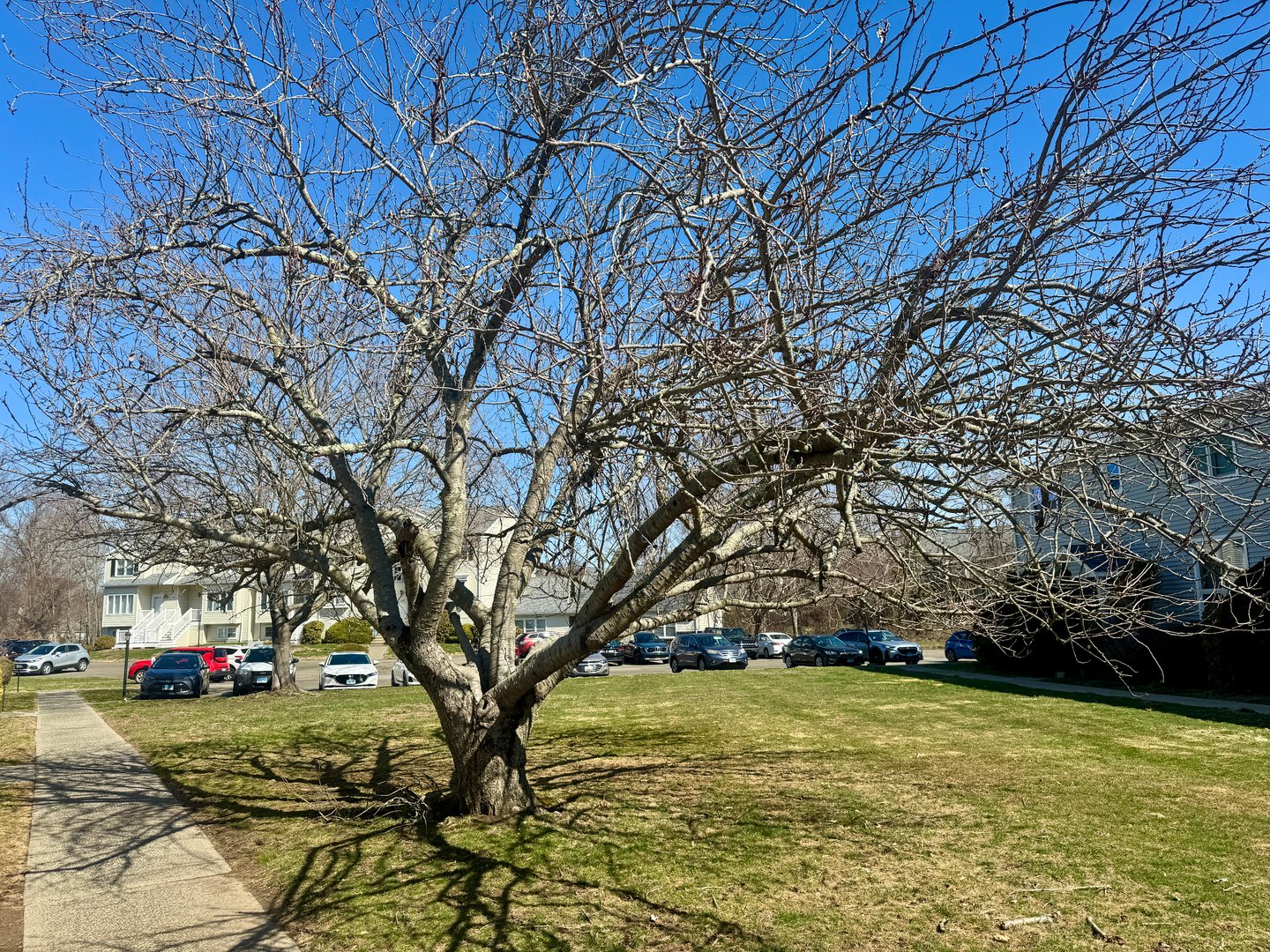 135 Carriage Path South #135 Photo 16