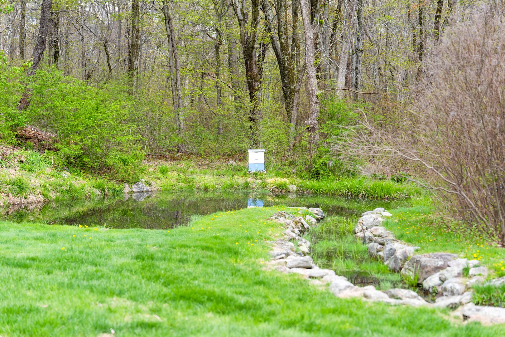5 Musket Lane Photo 35