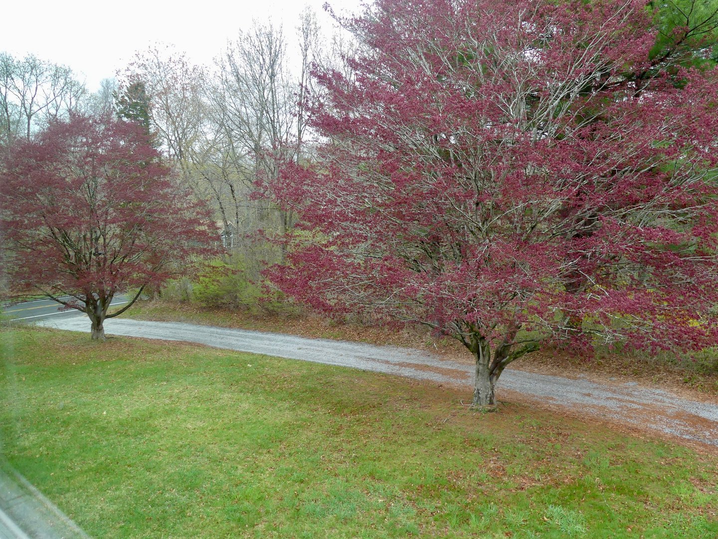 21 Winthrop Road Photo 3