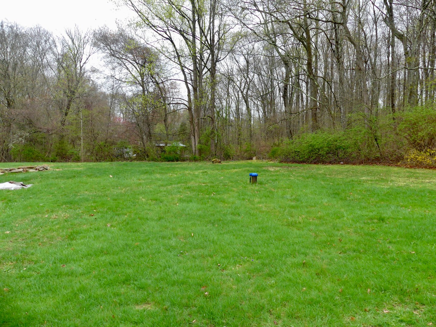 21 Winthrop Road Photo 18