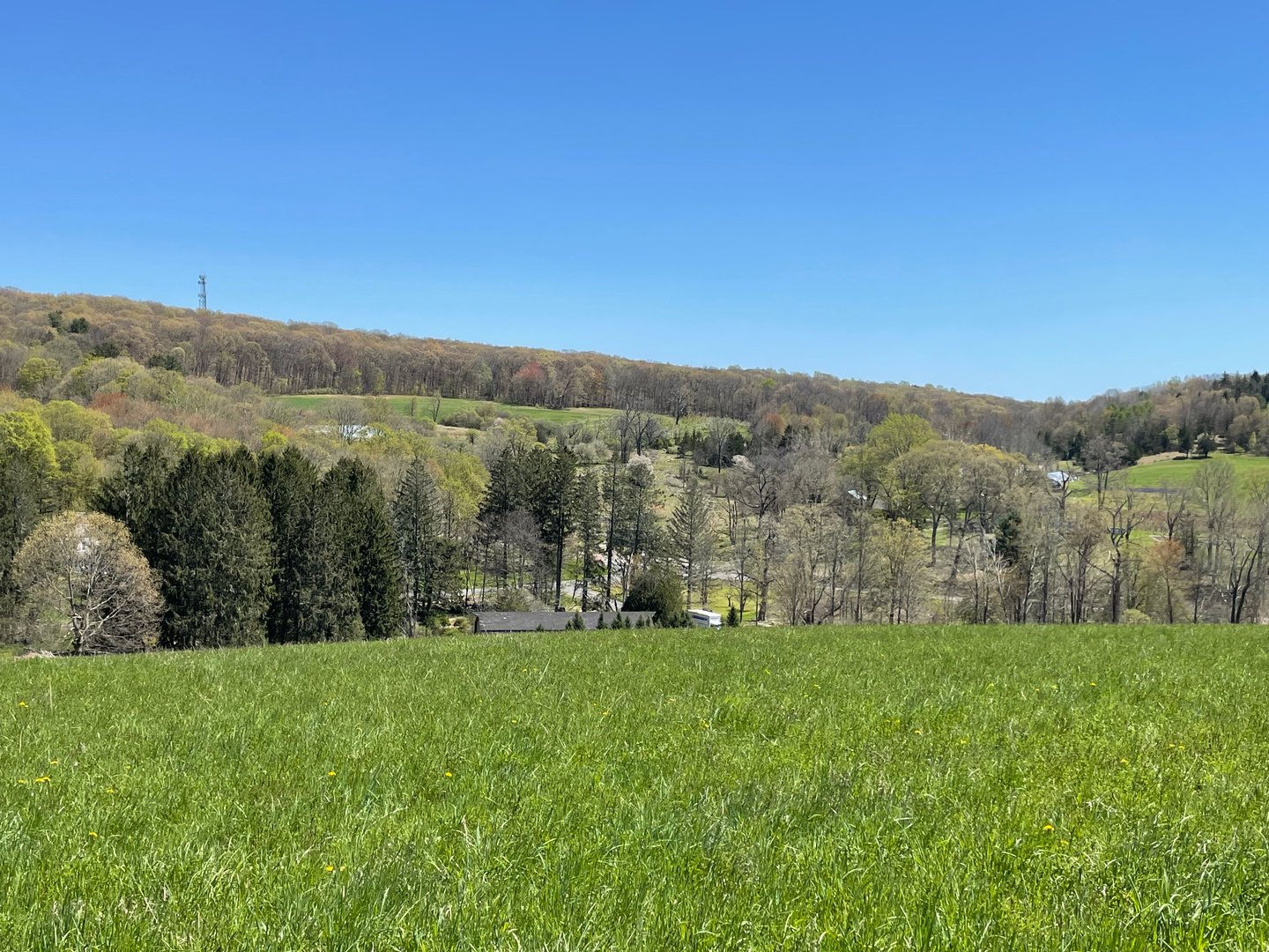 55 Ranney Hill Road Photo 3