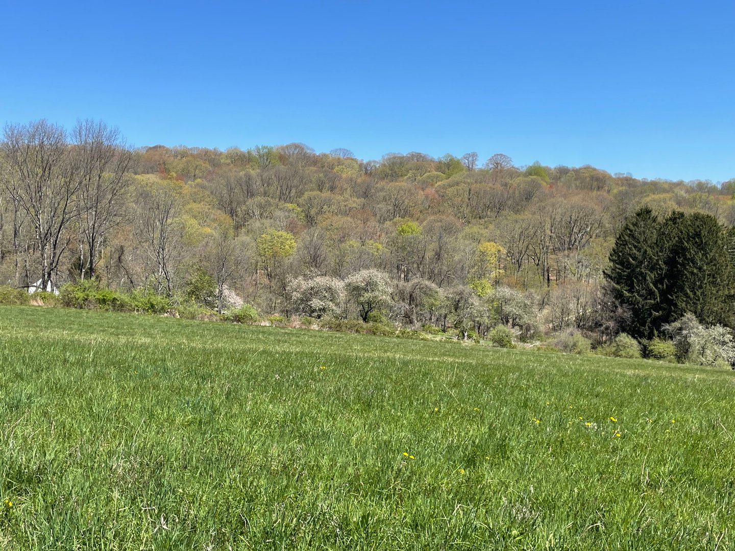 55 Ranney Hill Road Photo 5