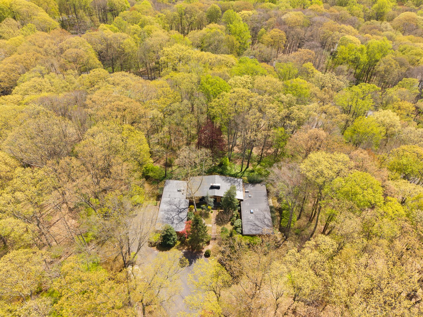 61 Ox Bow Lane Photo 4