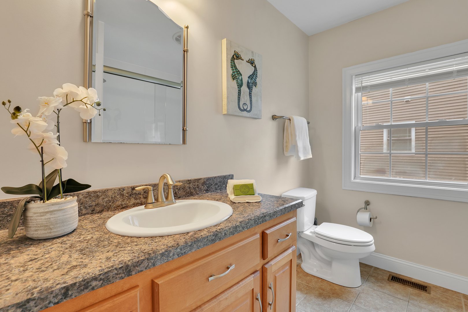 17 Birmingham Circle Photo 25