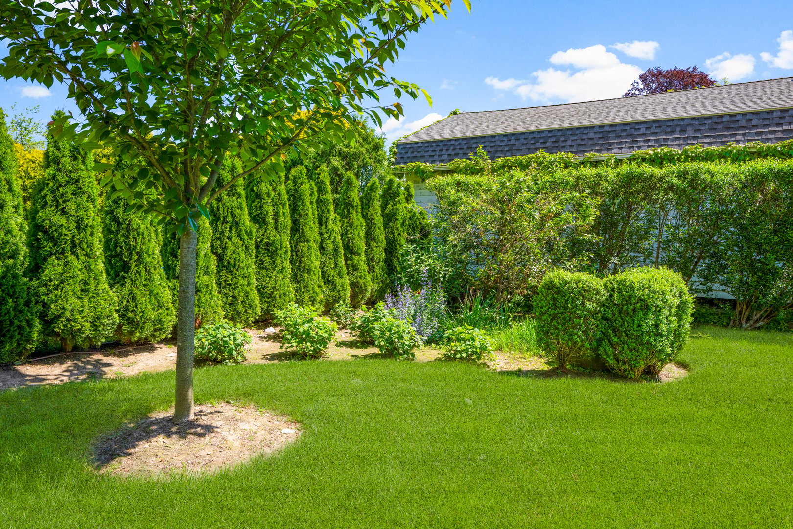 6 Linden Avenue Photo 40