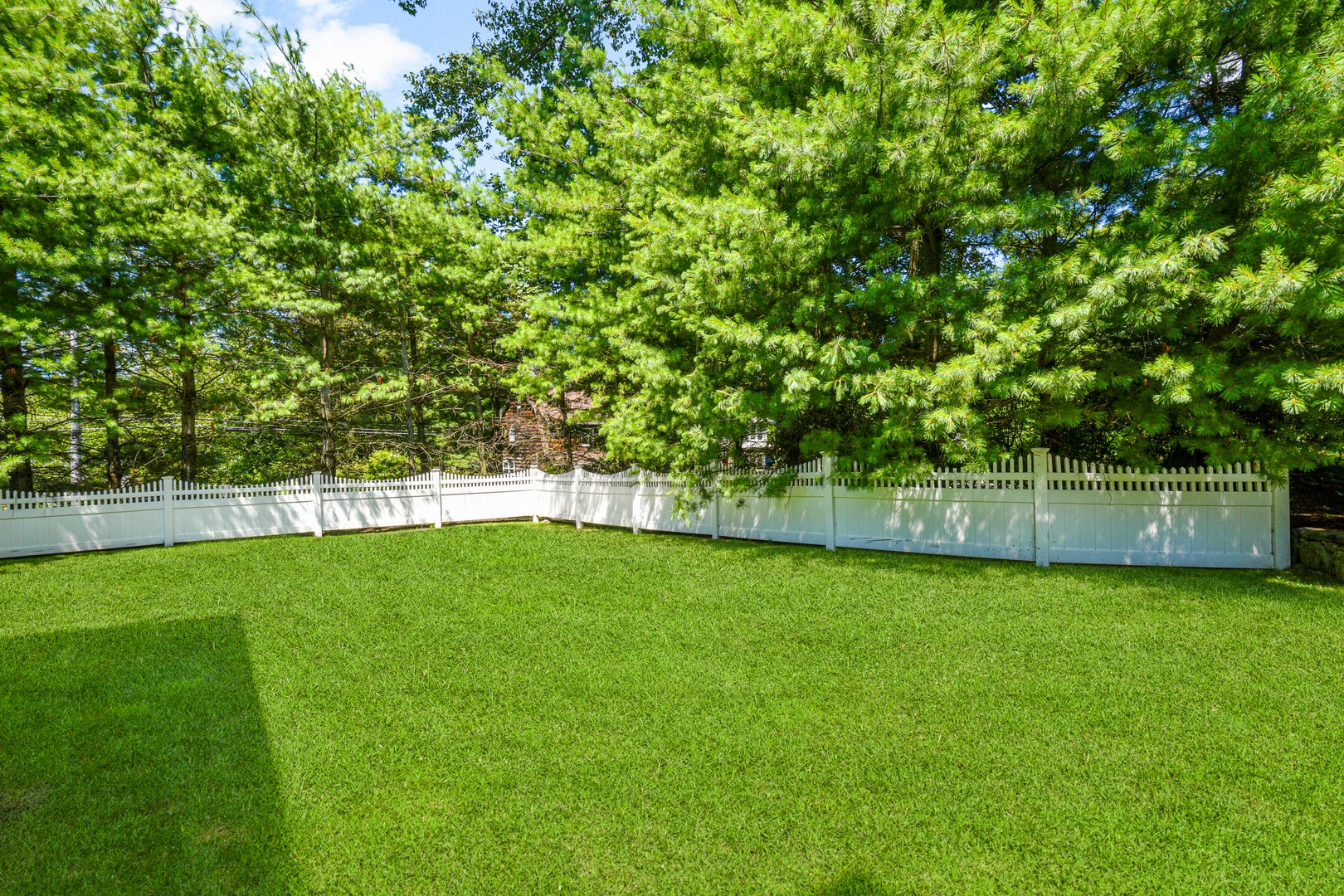 9 Daymon Terrace Photo 36