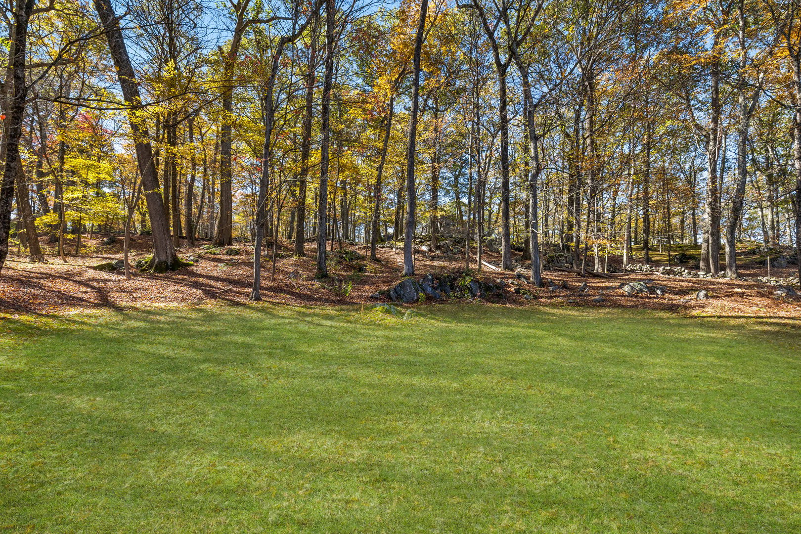 158 Mead Street Photo 26