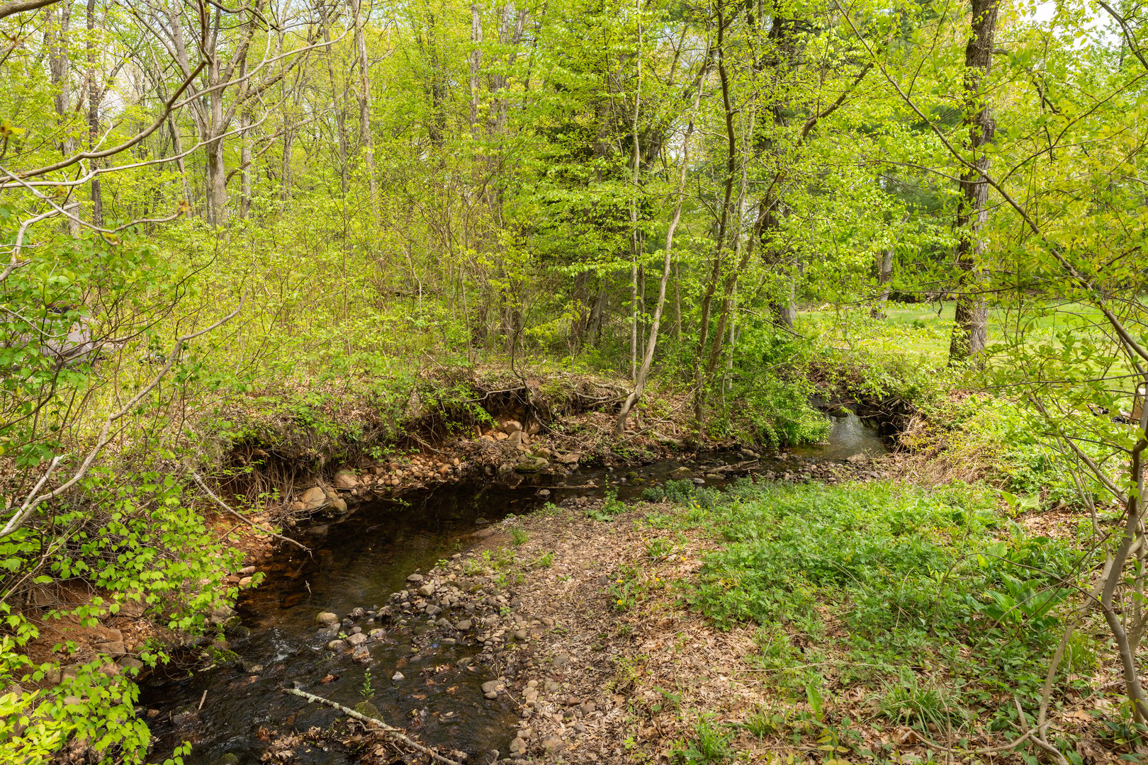 229 Johnson Road Photo 23