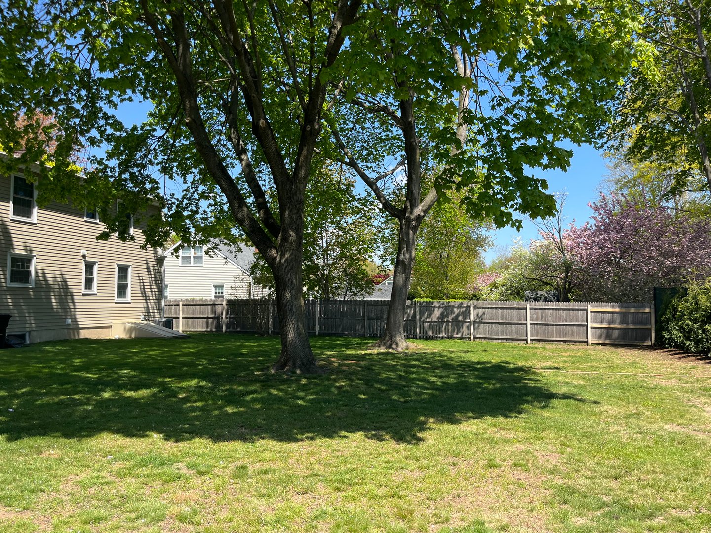 427 Westford Drive Photo 4