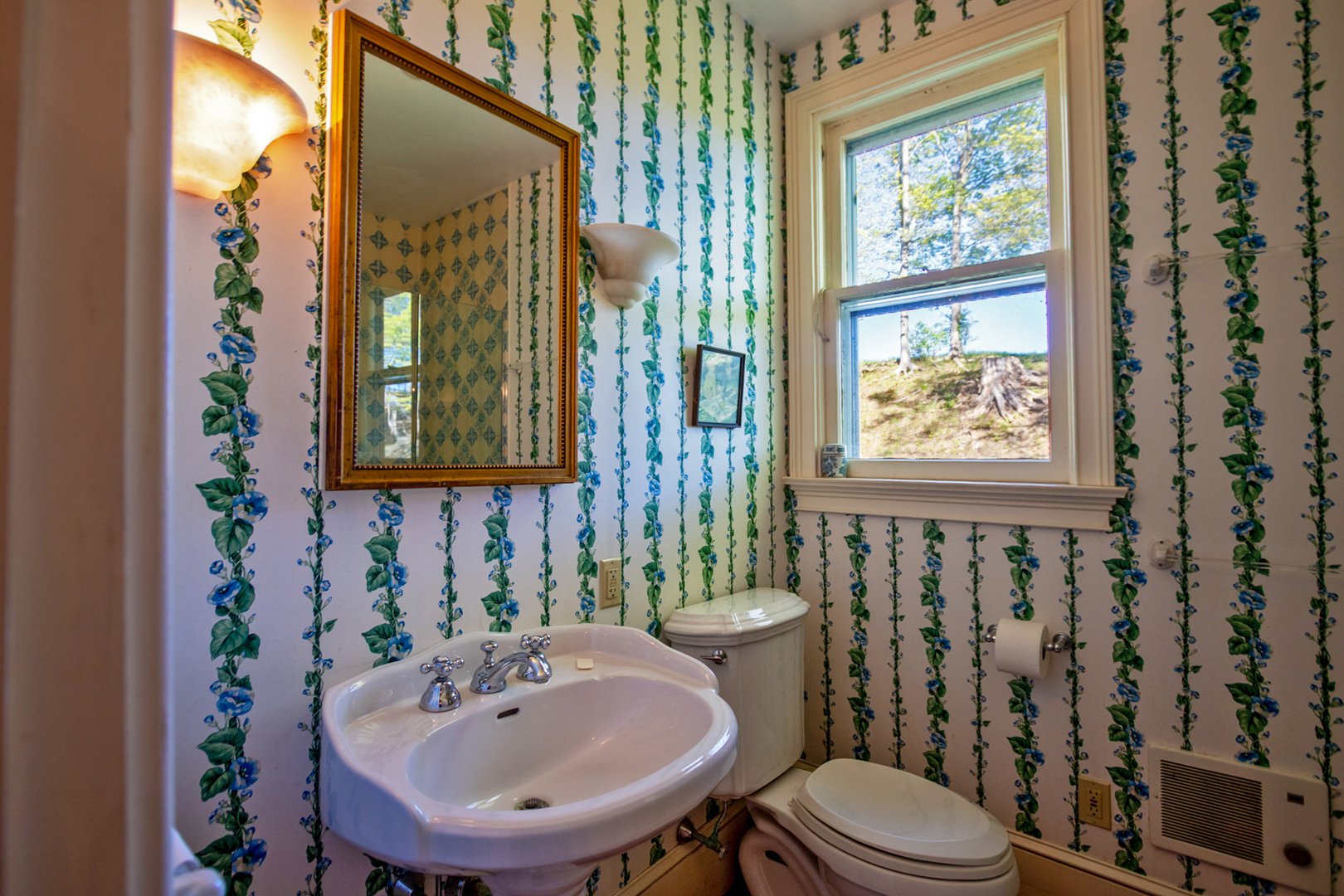 170 Greendale Road Photo 16