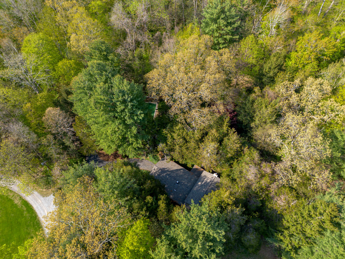 40 Oleson Drive Photo 38