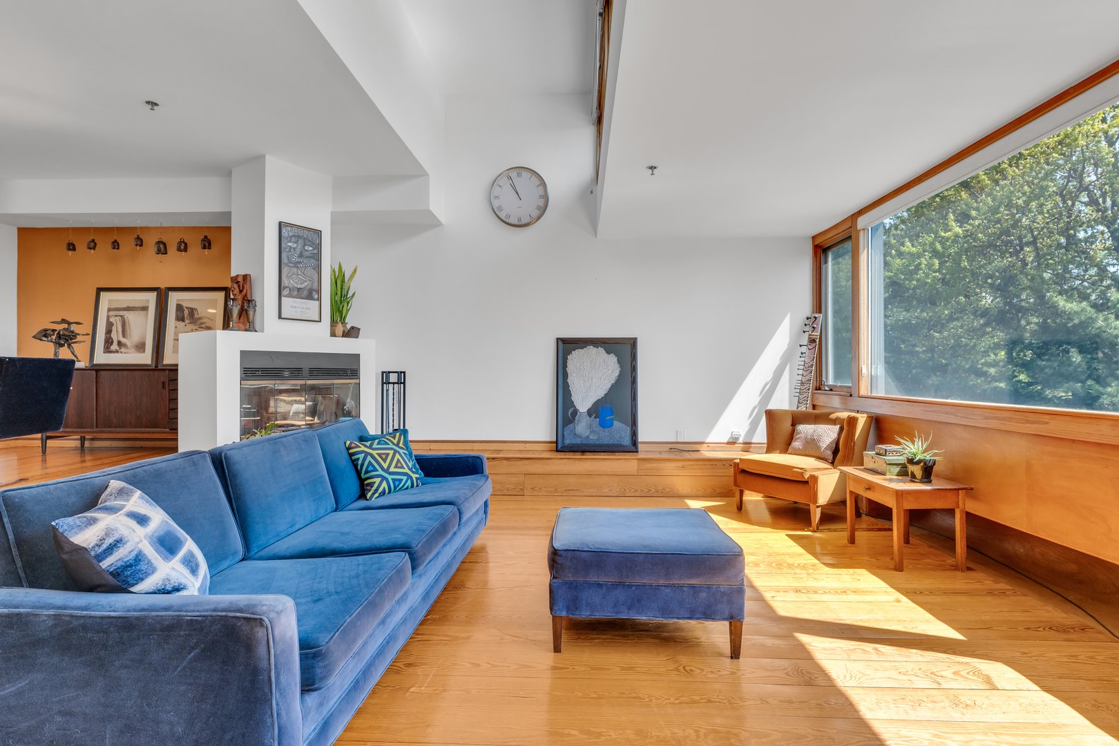 446 Whitfield Street  #C Photo 5