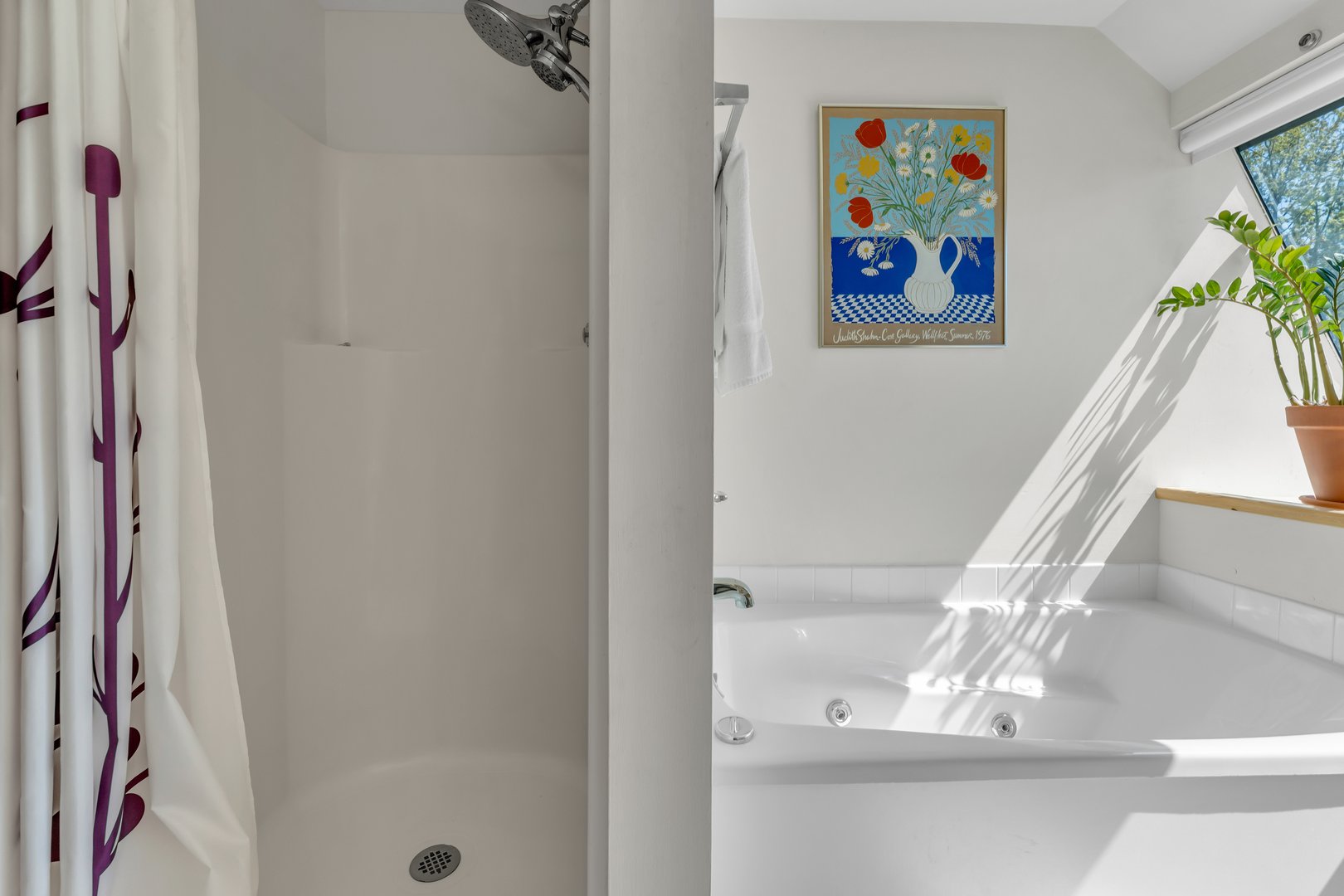 446 Whitfield Street  #C Photo 21