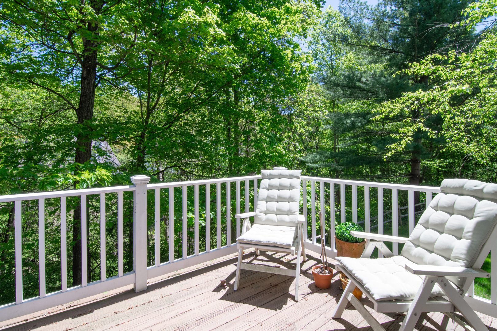 903 Pheasant Woods Road Photo 22