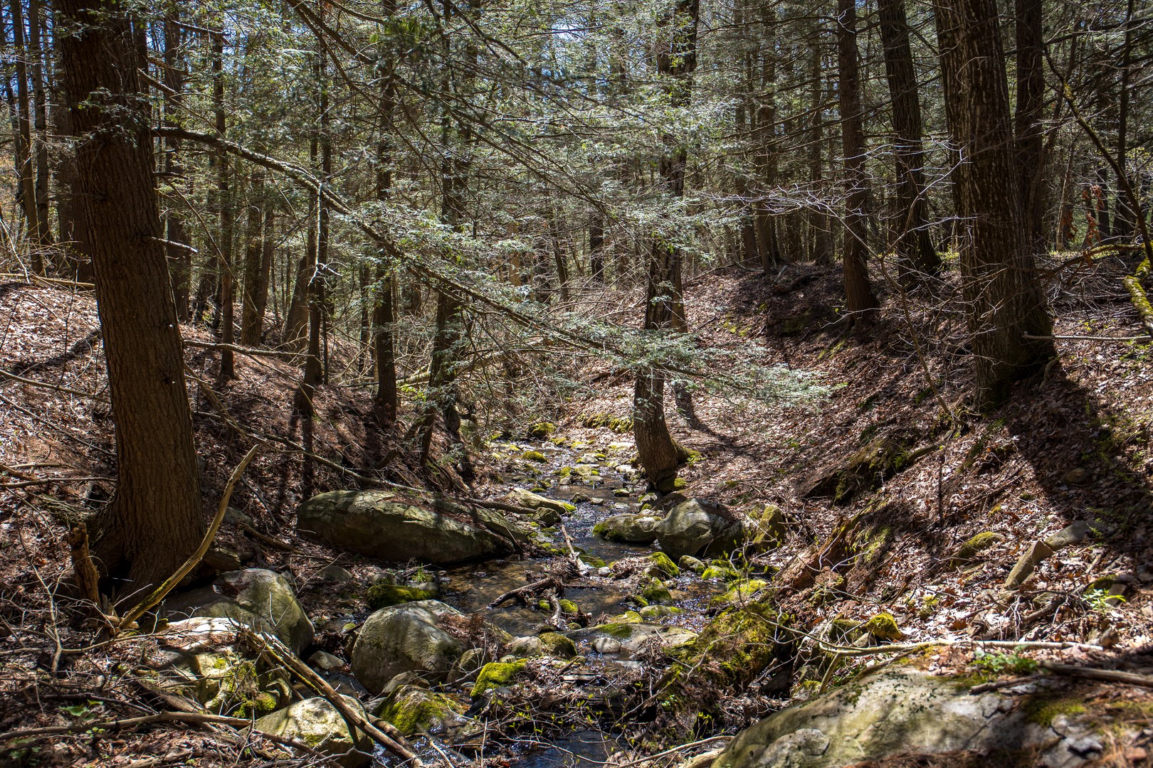 781 Hartsville New Marlboro Rd Photo 30