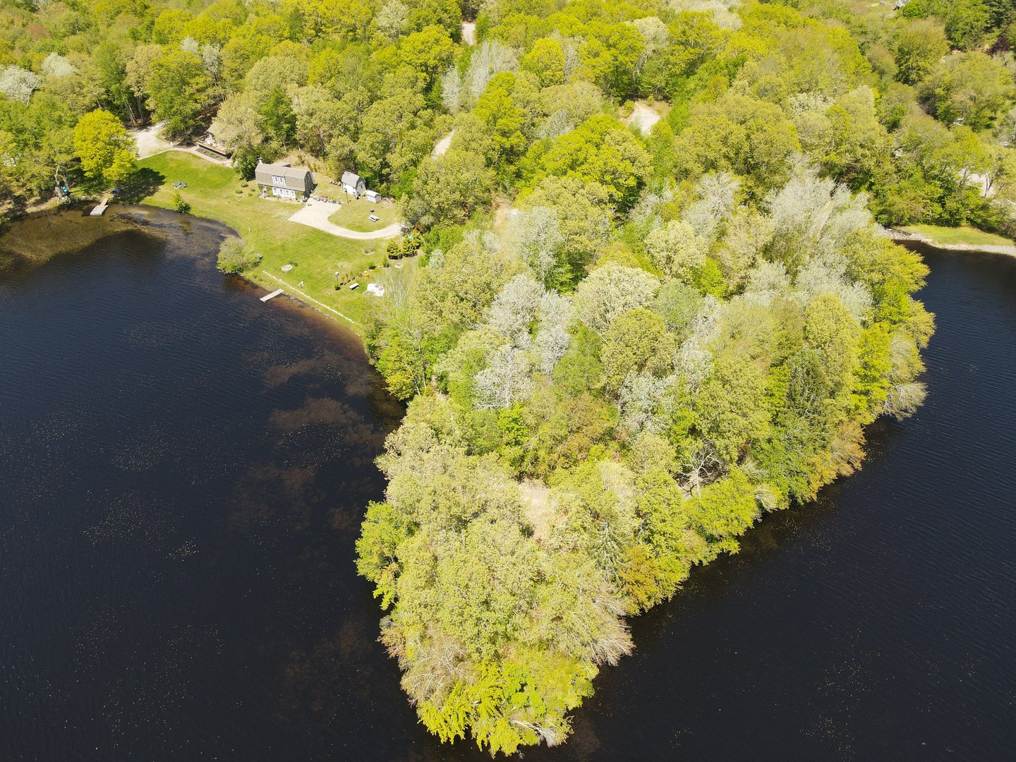 164 Miller Road Photo 1