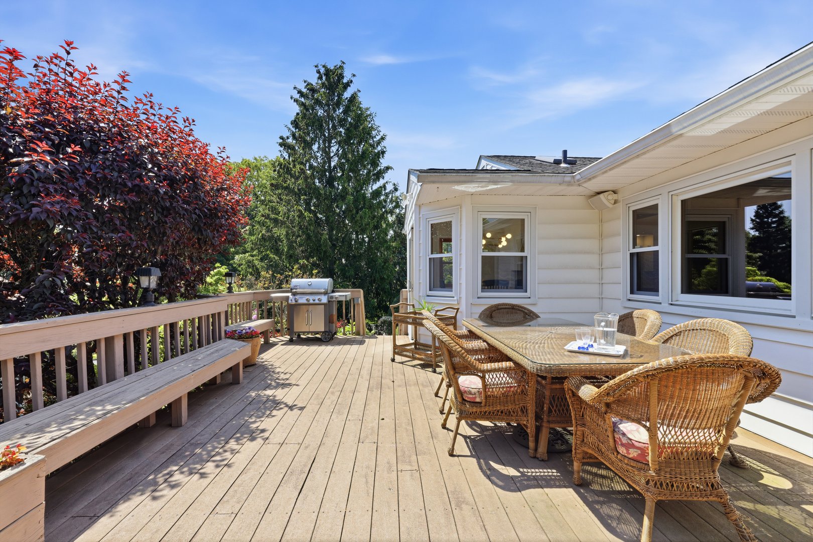 10 Belmont Street Photo 26