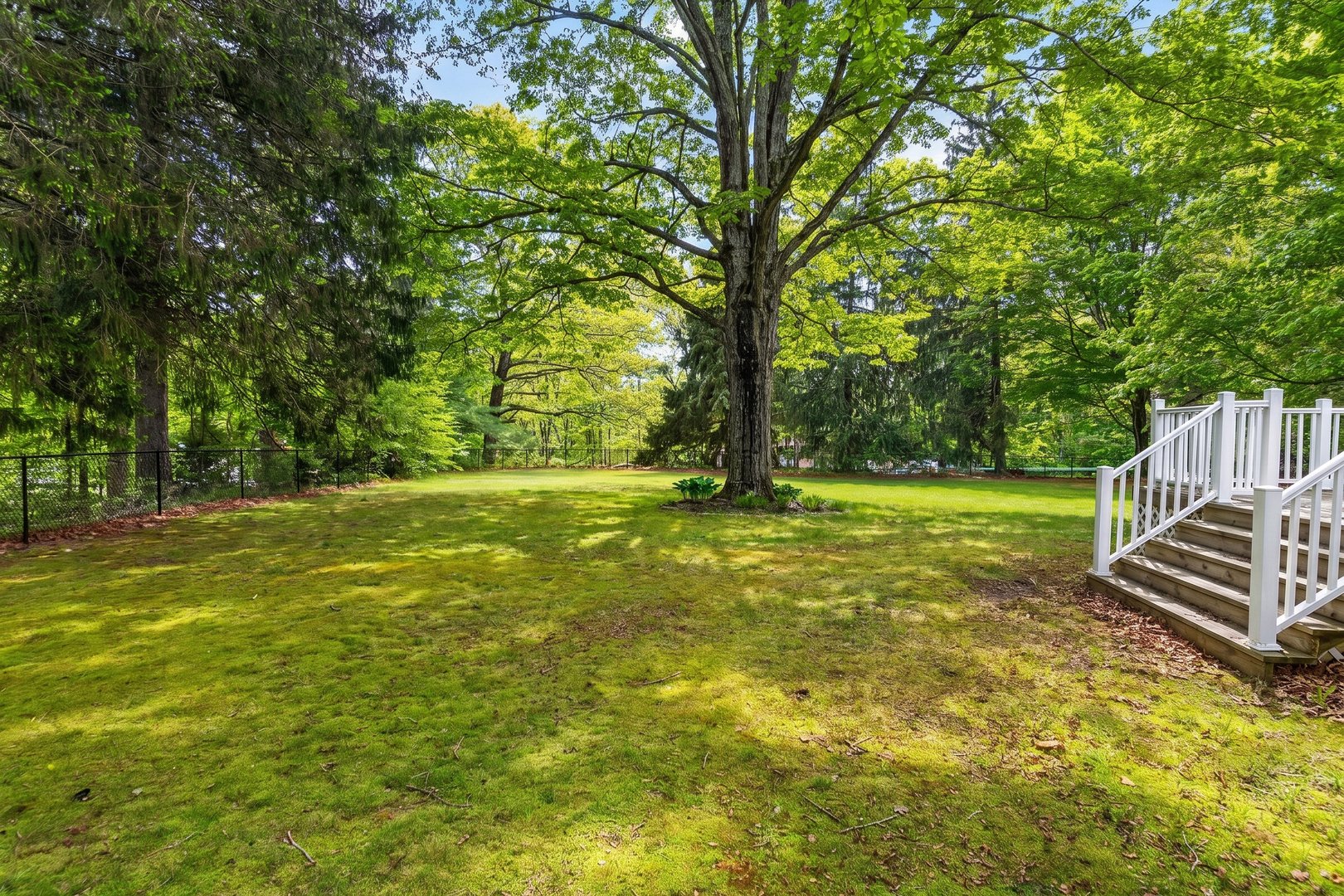 145 Liberty Street Photo 29
