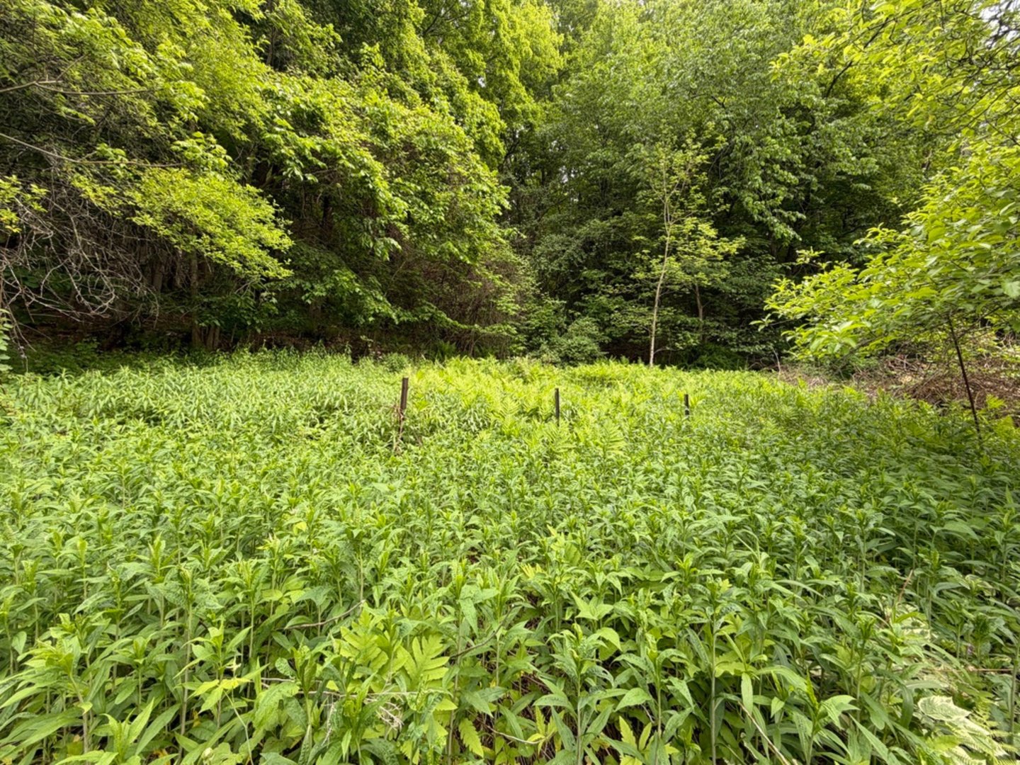 48 Lower River Road Photo 23