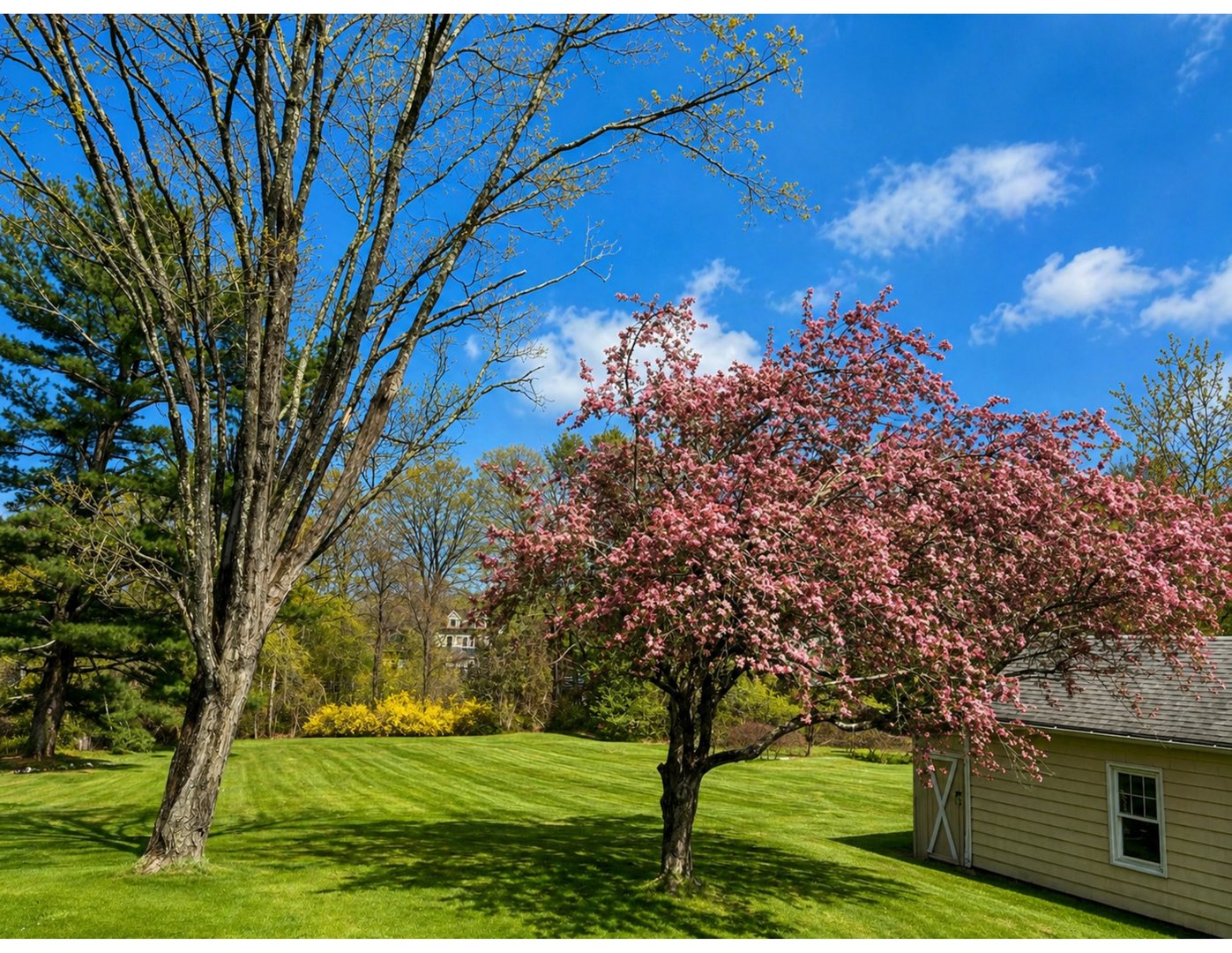 453 Smith Ridge Road Photo 10