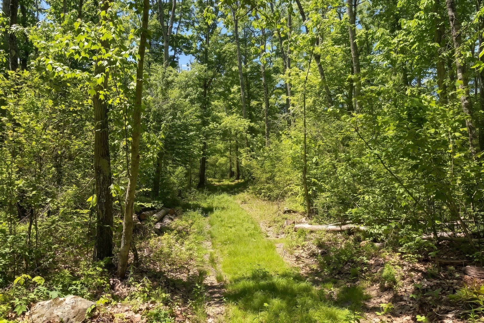 Swaller Hill Road Photo 6