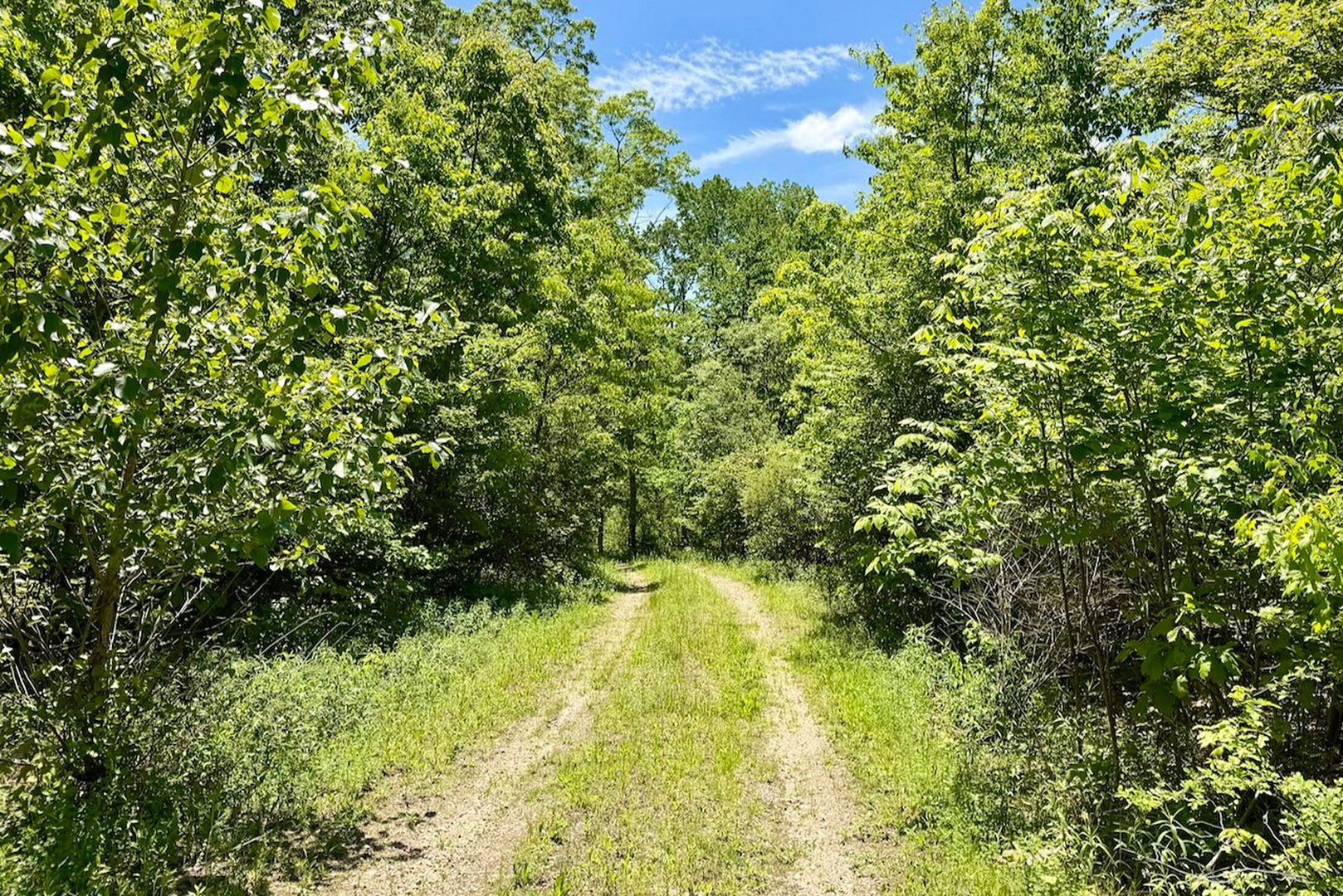 Swaller Hill Road Photo 13