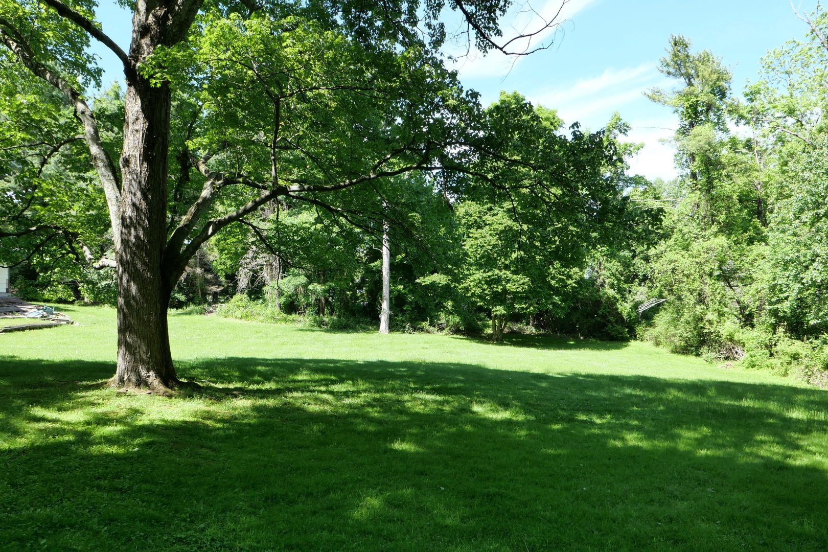 5 Maria Lane Photo 11