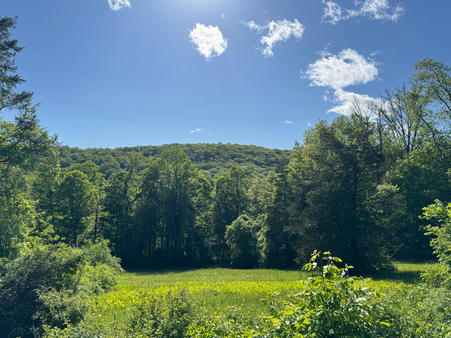 Rte 39 South, State Route Photo 2