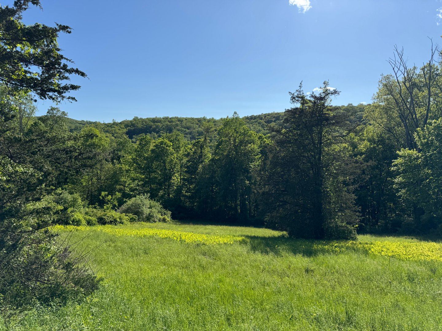 Rte 39 South, State Route Photo 1