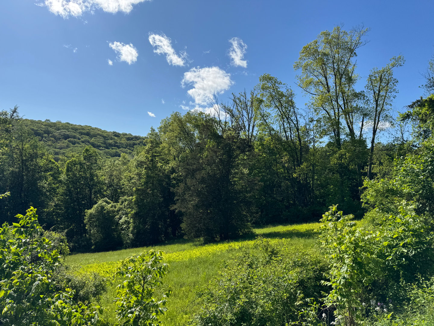 Rte 39 South, State Route Photo 3