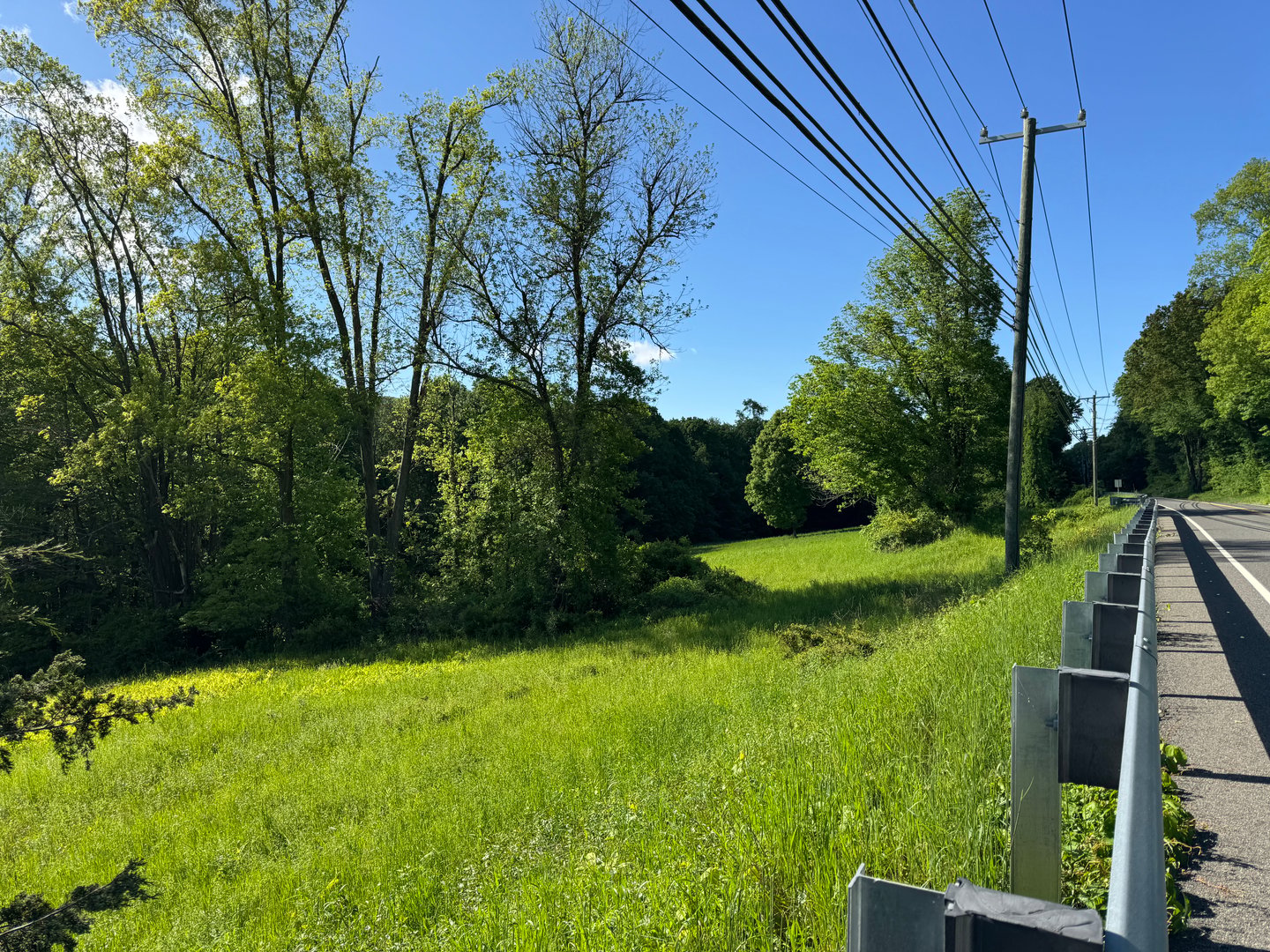 Rte 39 South, State Route Photo 4