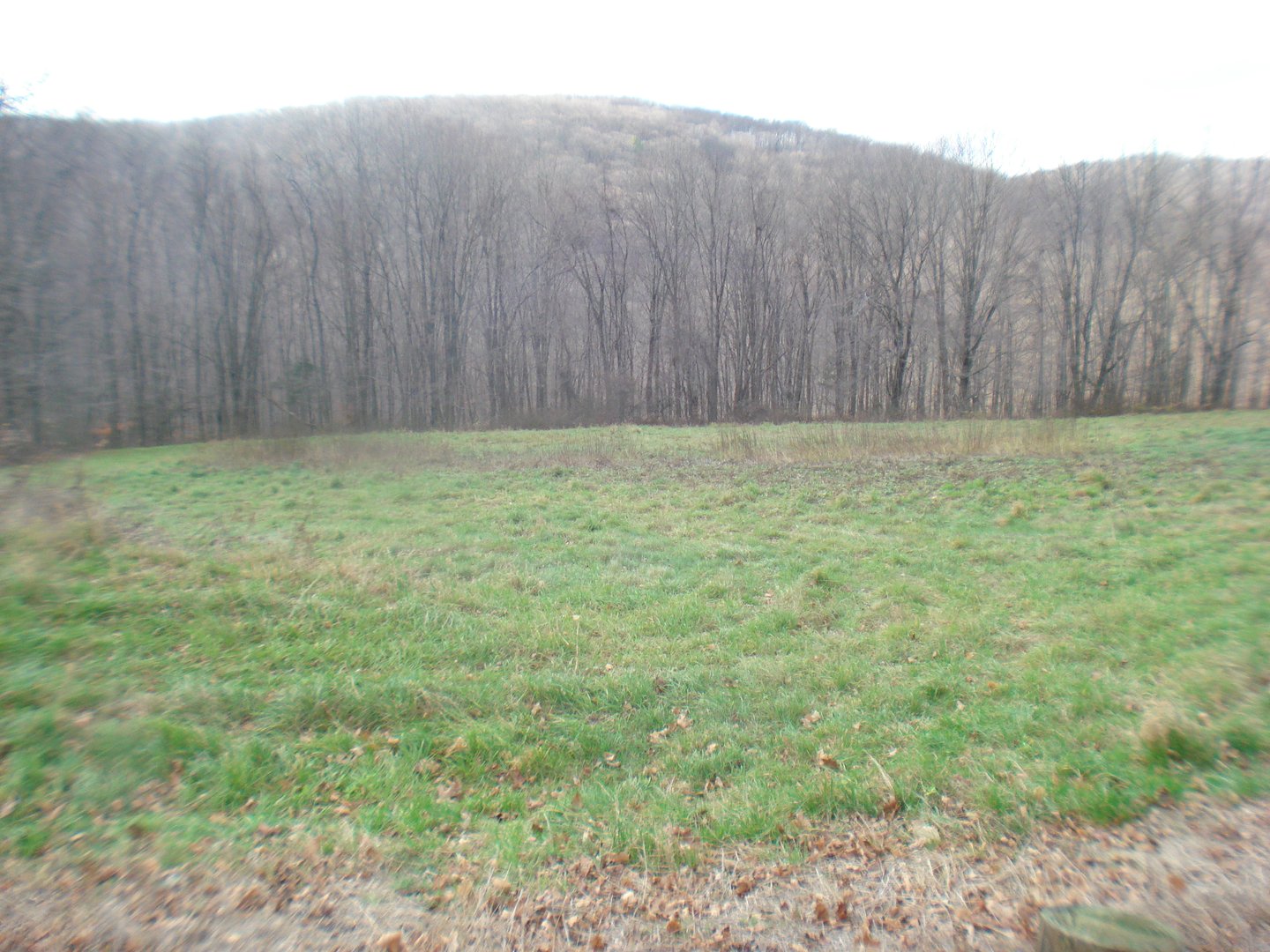 Rte 39 South, State Route Photo 6