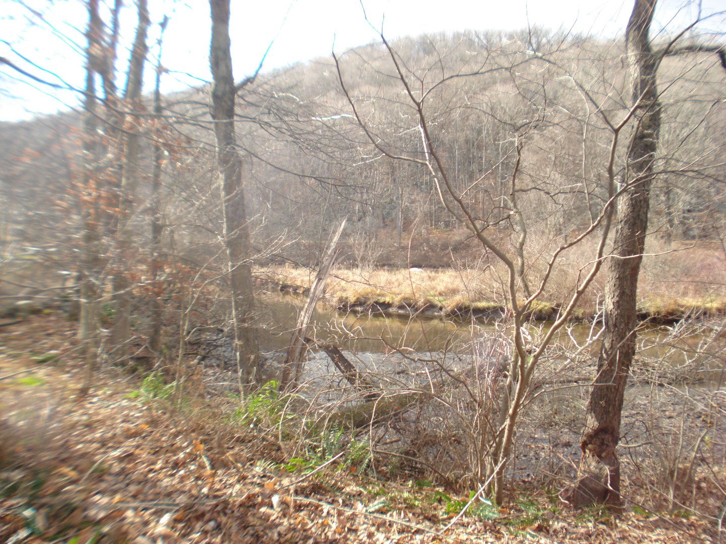 Rte 39 South, State Route Photo 7