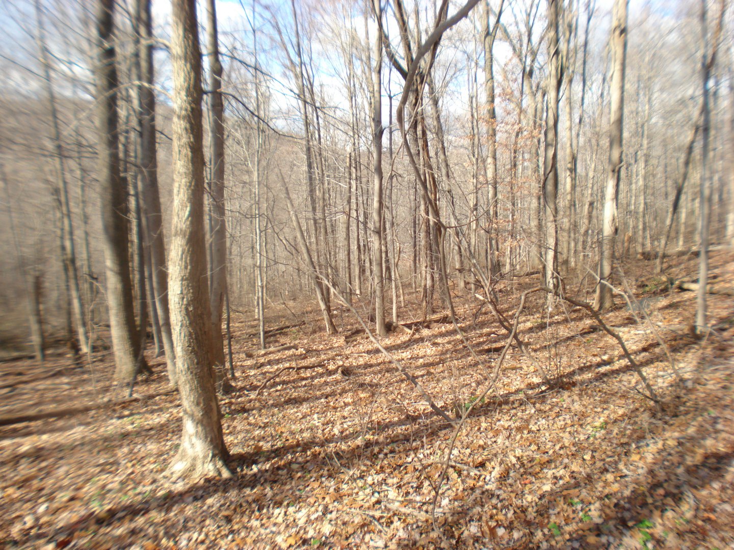 Rte 39 South, State Route Photo 9