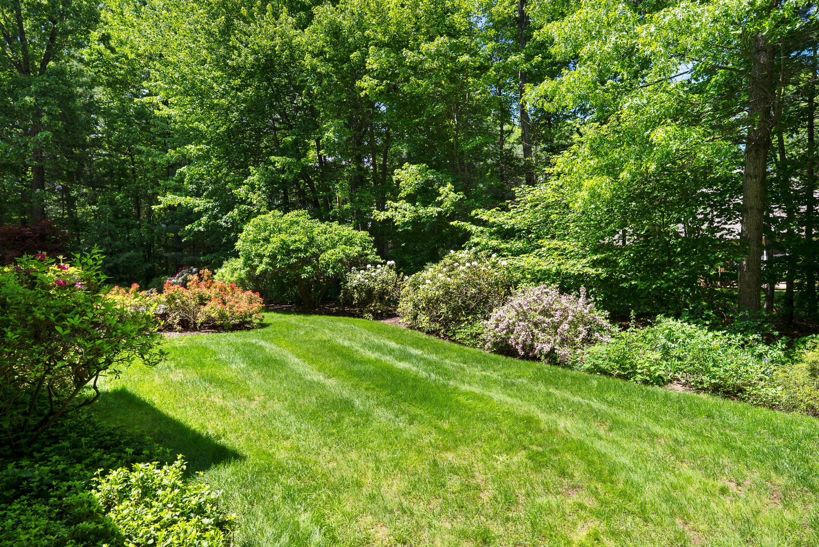 3 Norfolk Gardens Photo 3