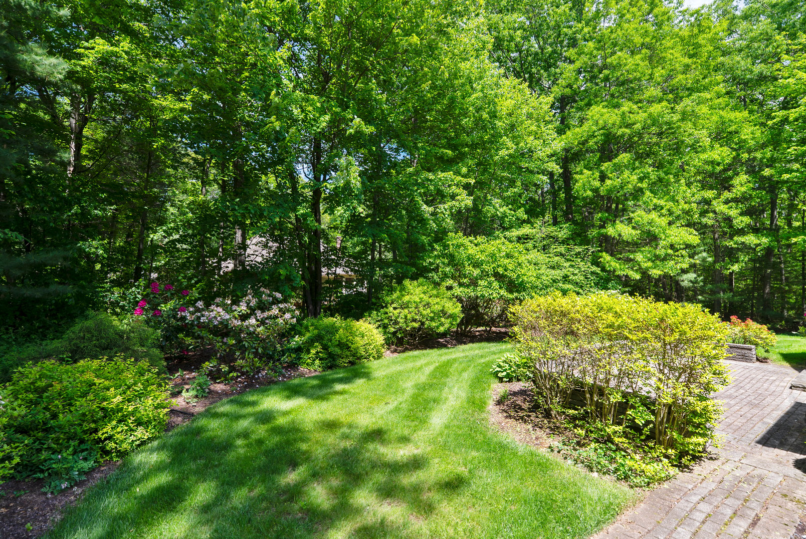 3 Norfolk Gardens Photo 8