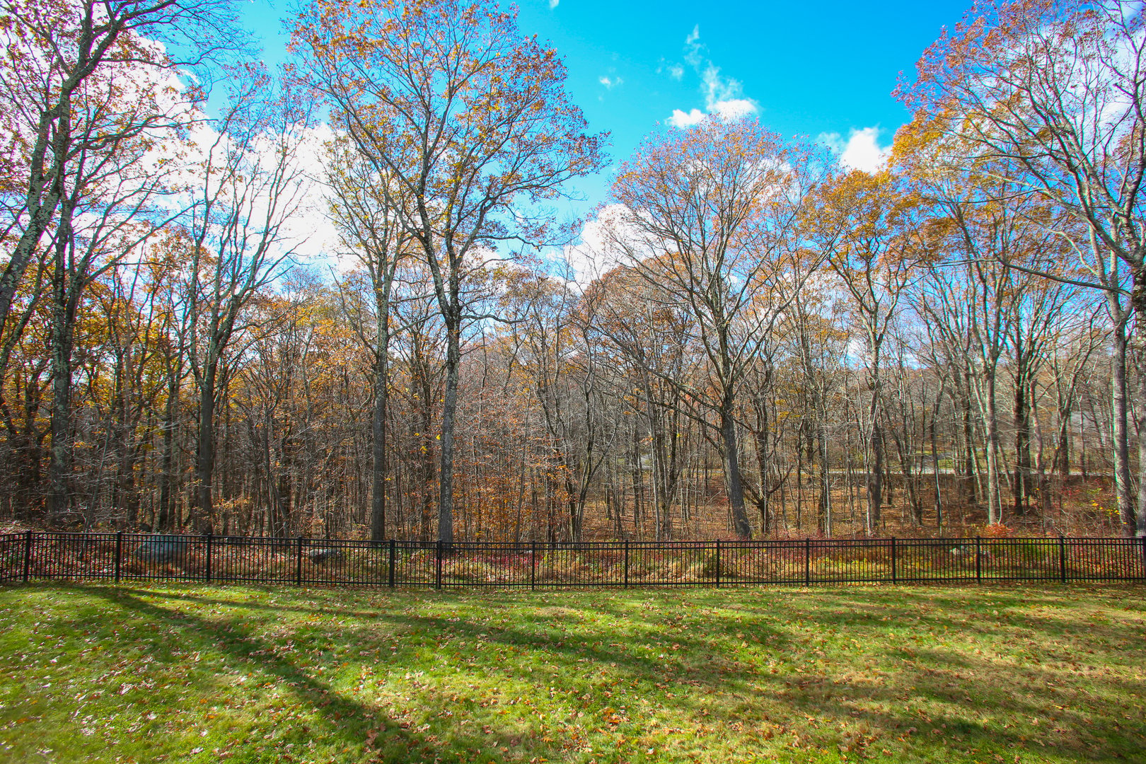 39 Gorham Road Photo 11