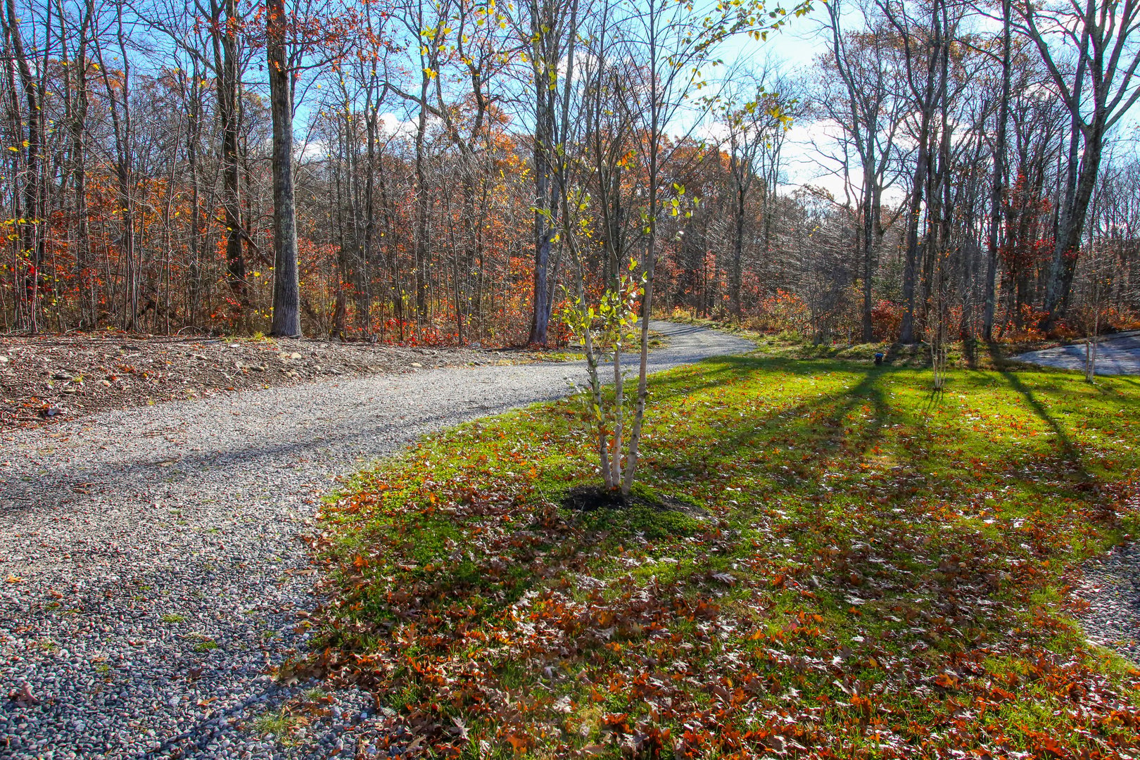 39 Gorham Road Photo 38
