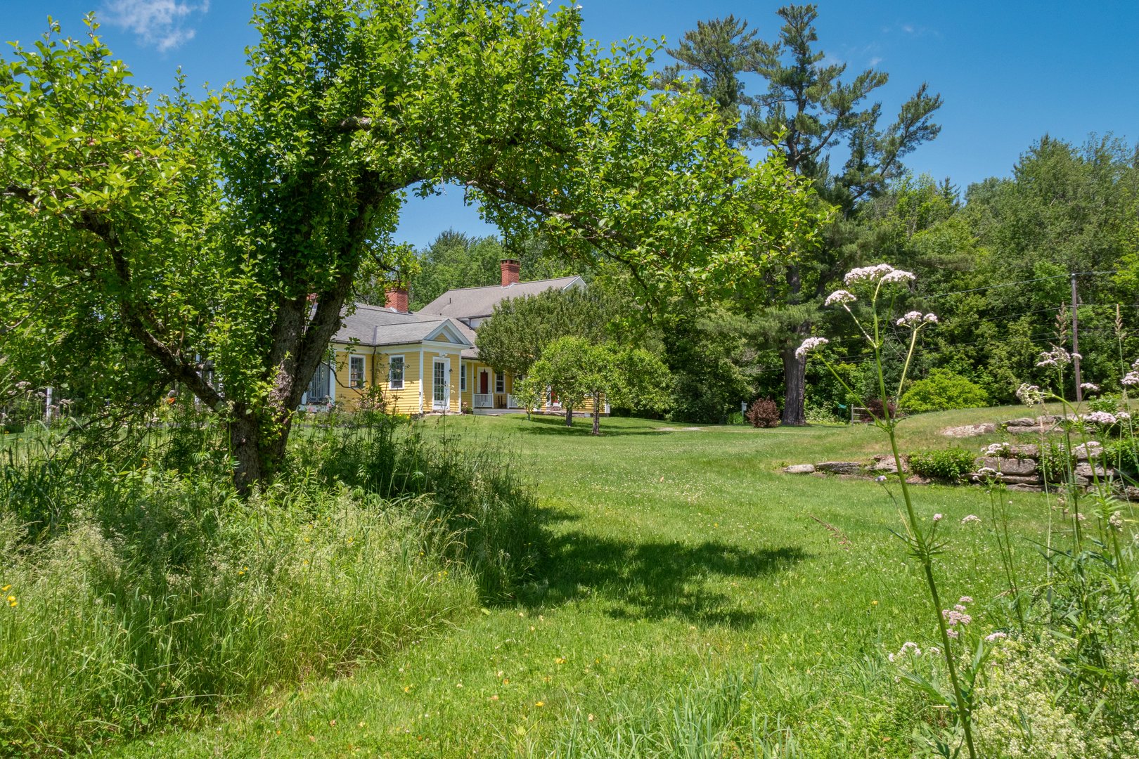 87 Silverbrook Rd Photo 56