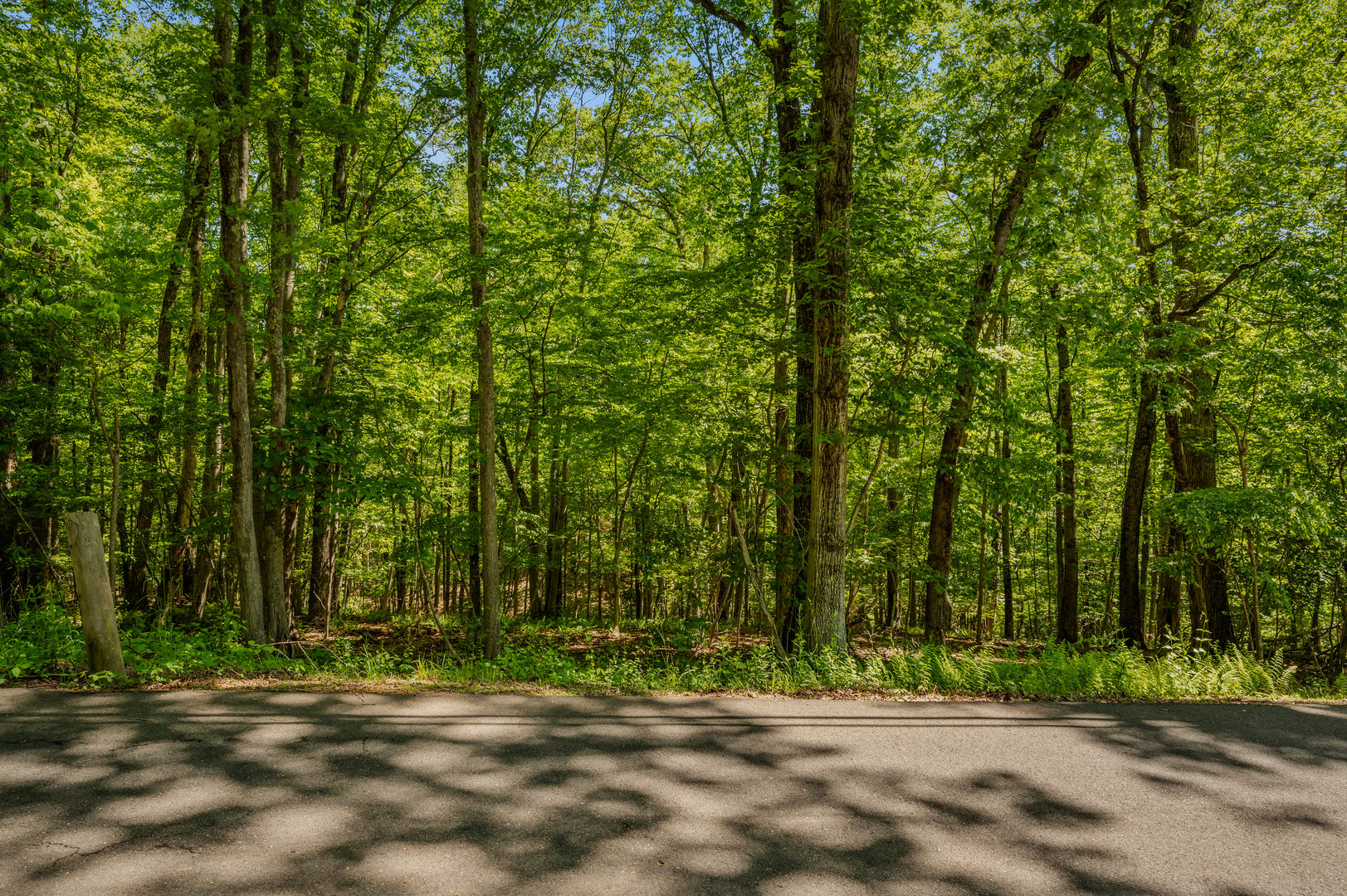 Lot10-b1 Foot Hills Road Photo 1