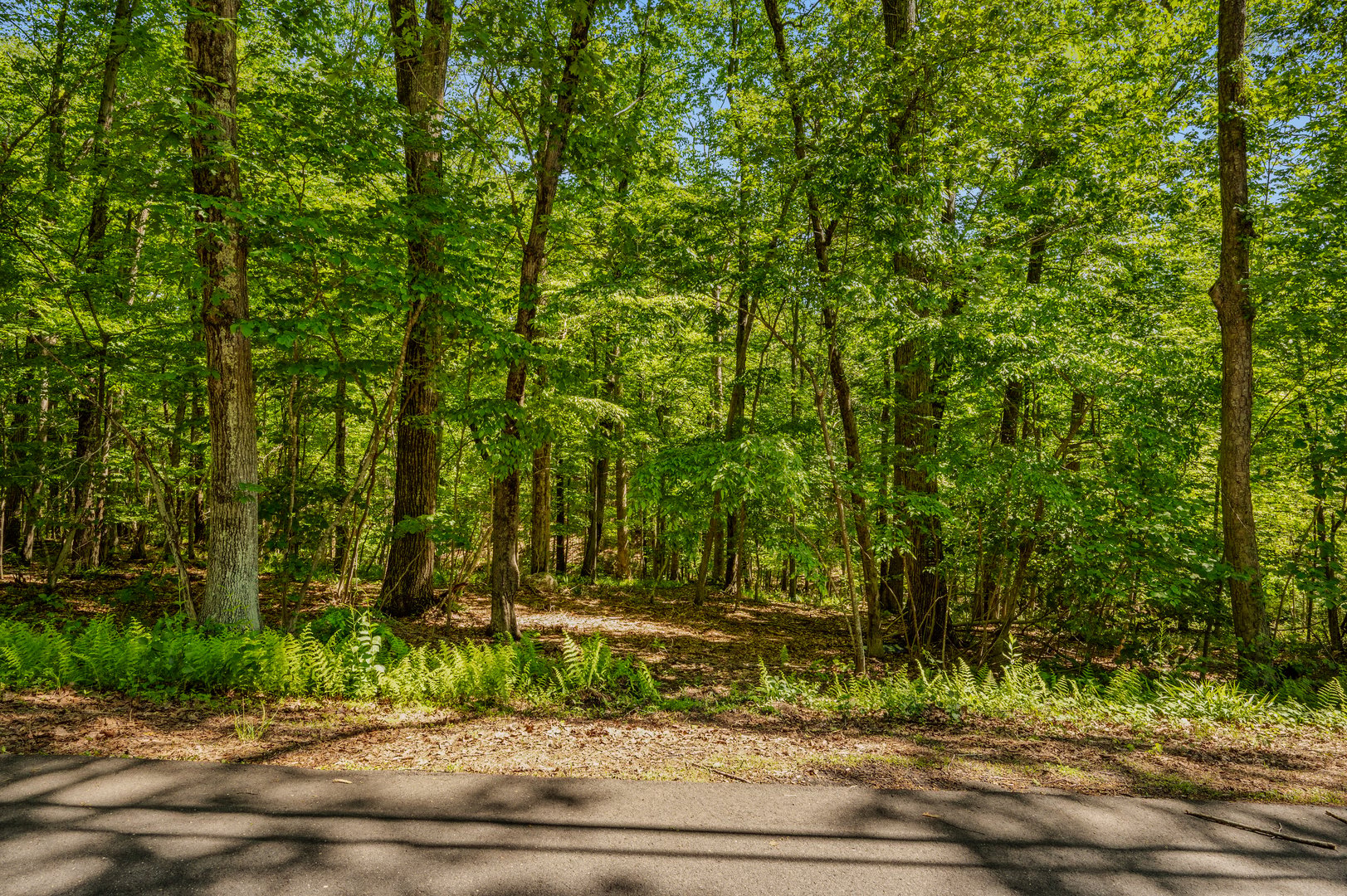 Lot10-b1 Foot Hills Road Photo 2