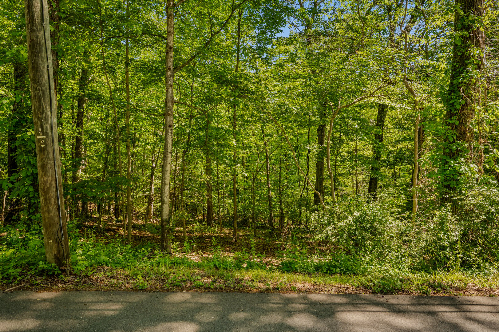 Lot10-b1 Foot Hills Road Photo 6