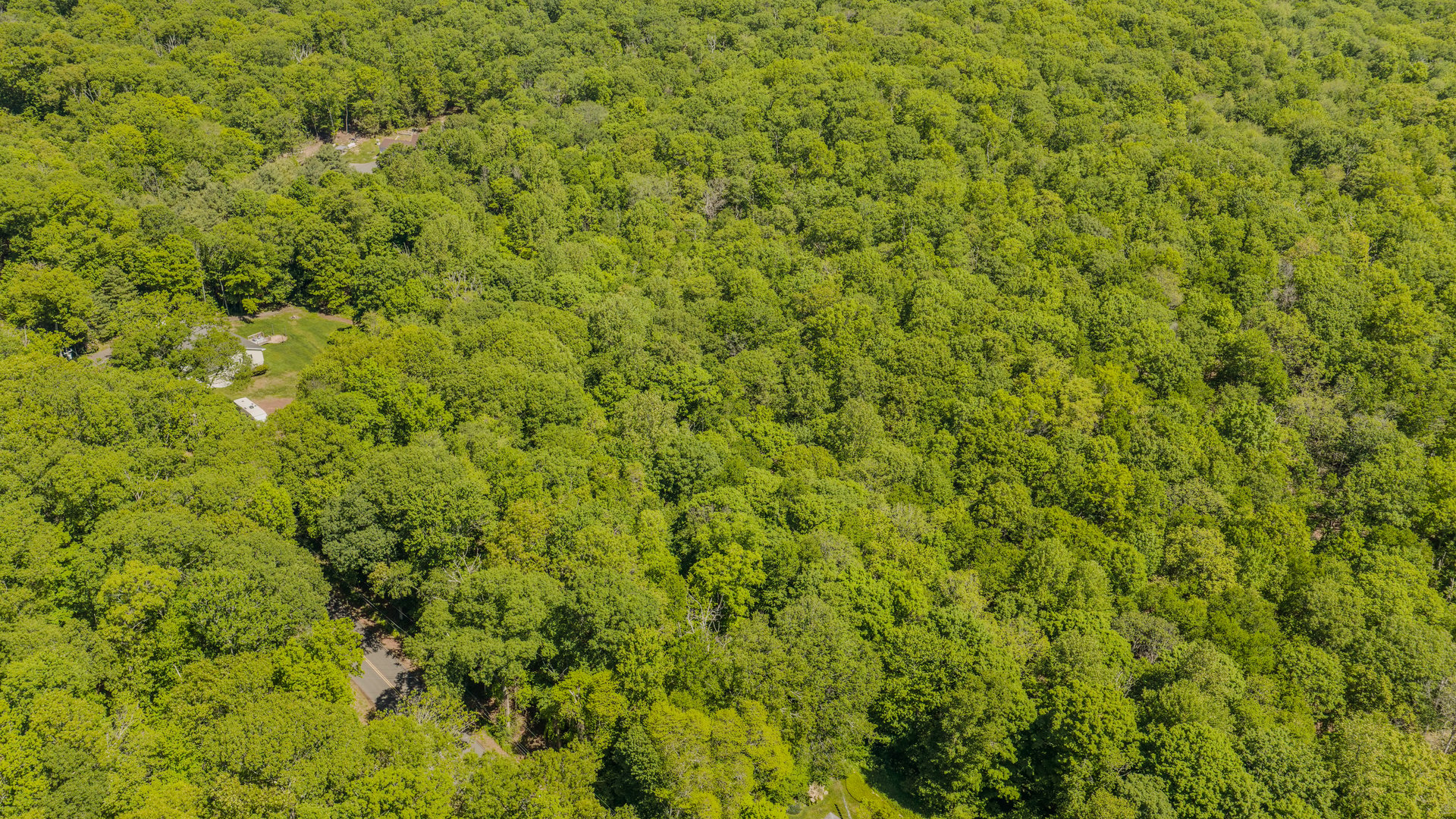 Lot10-b1 Foot Hills Road Photo 9