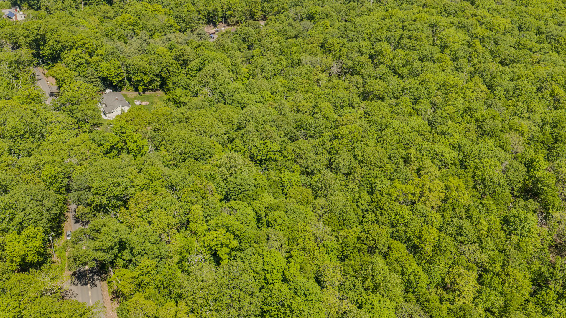 Lot10-b1 Foot Hills Road Photo 11