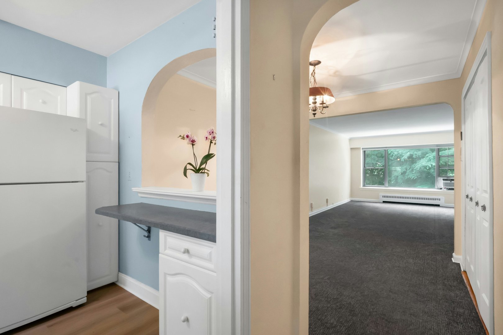 20 Alden Place  #1 Photo 5